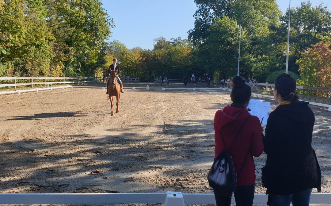 Concours interne de dressage – 29 septembre