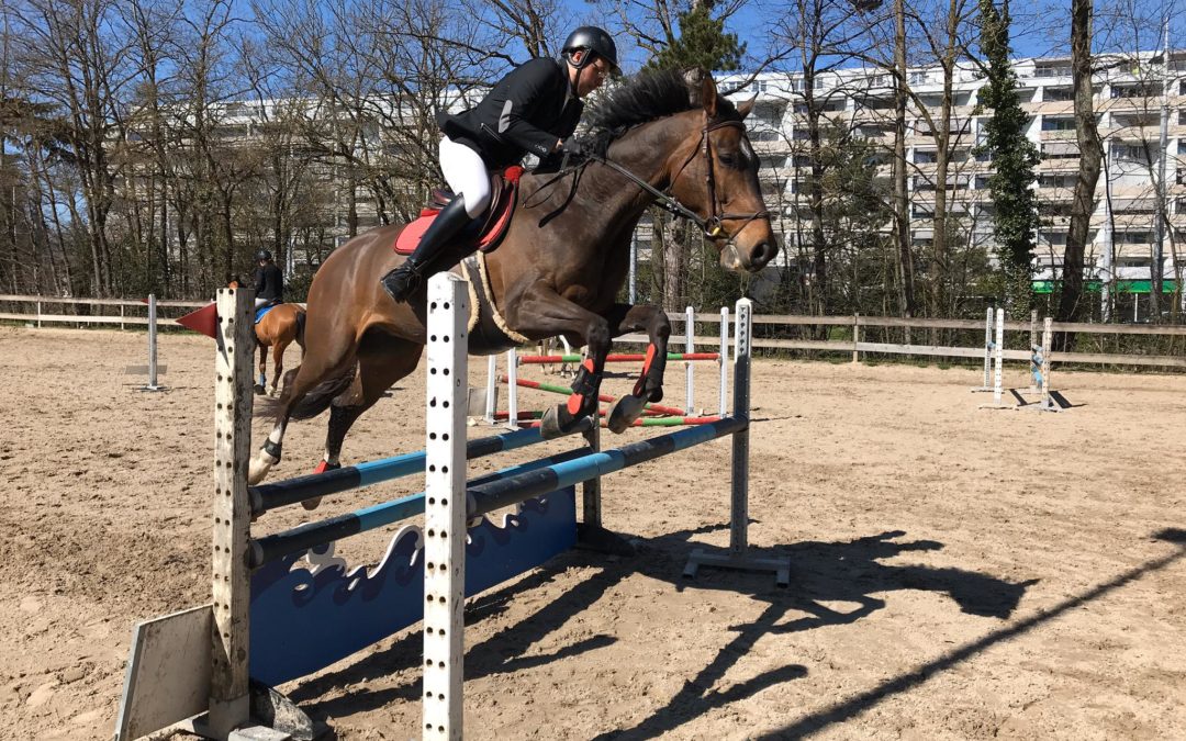 Concours interne de saut du 15 mars 2020